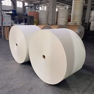 China Food Package PE Coated Paper in Roll