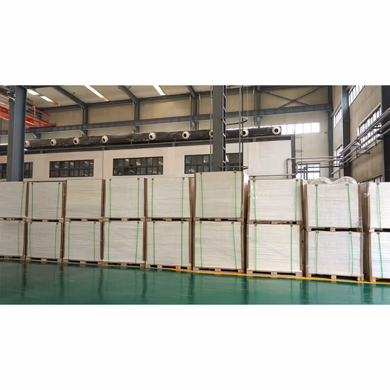Paper Factory in China Supply Stone Paper PE Coated Paper