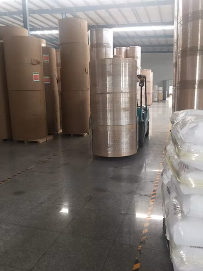 China Food Package PE Coated Paper in Roll