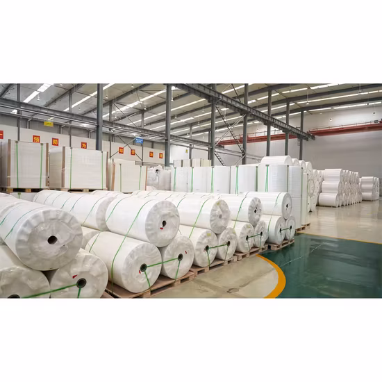 Paper Factory in China Supply Stone Paper PE Coated Paper